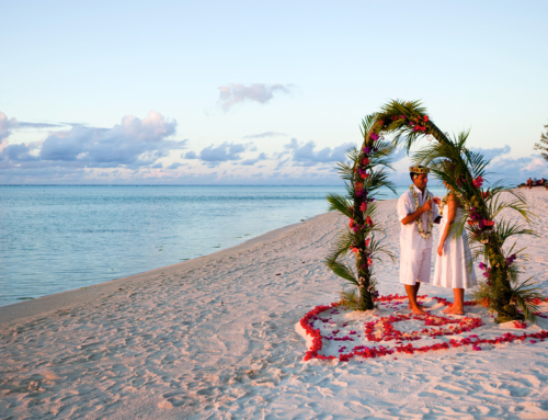 Weddings in Paradise by Lizzie Brandon